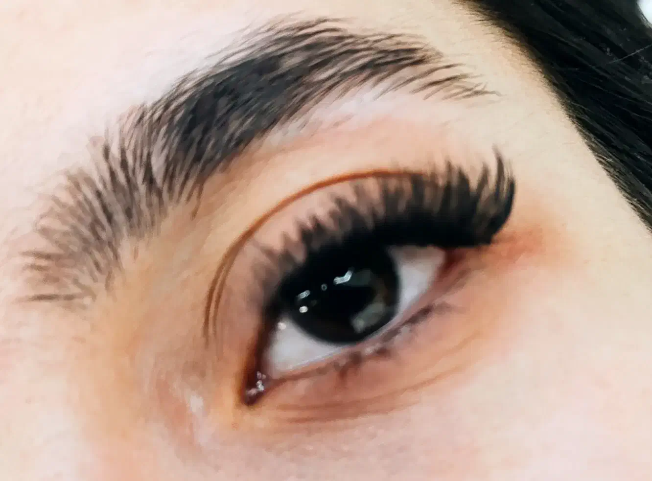 خدمات کاشت مژه|خدمات آرایشگری و زیبایی|شیراز, شهرک ایثار|دیوار