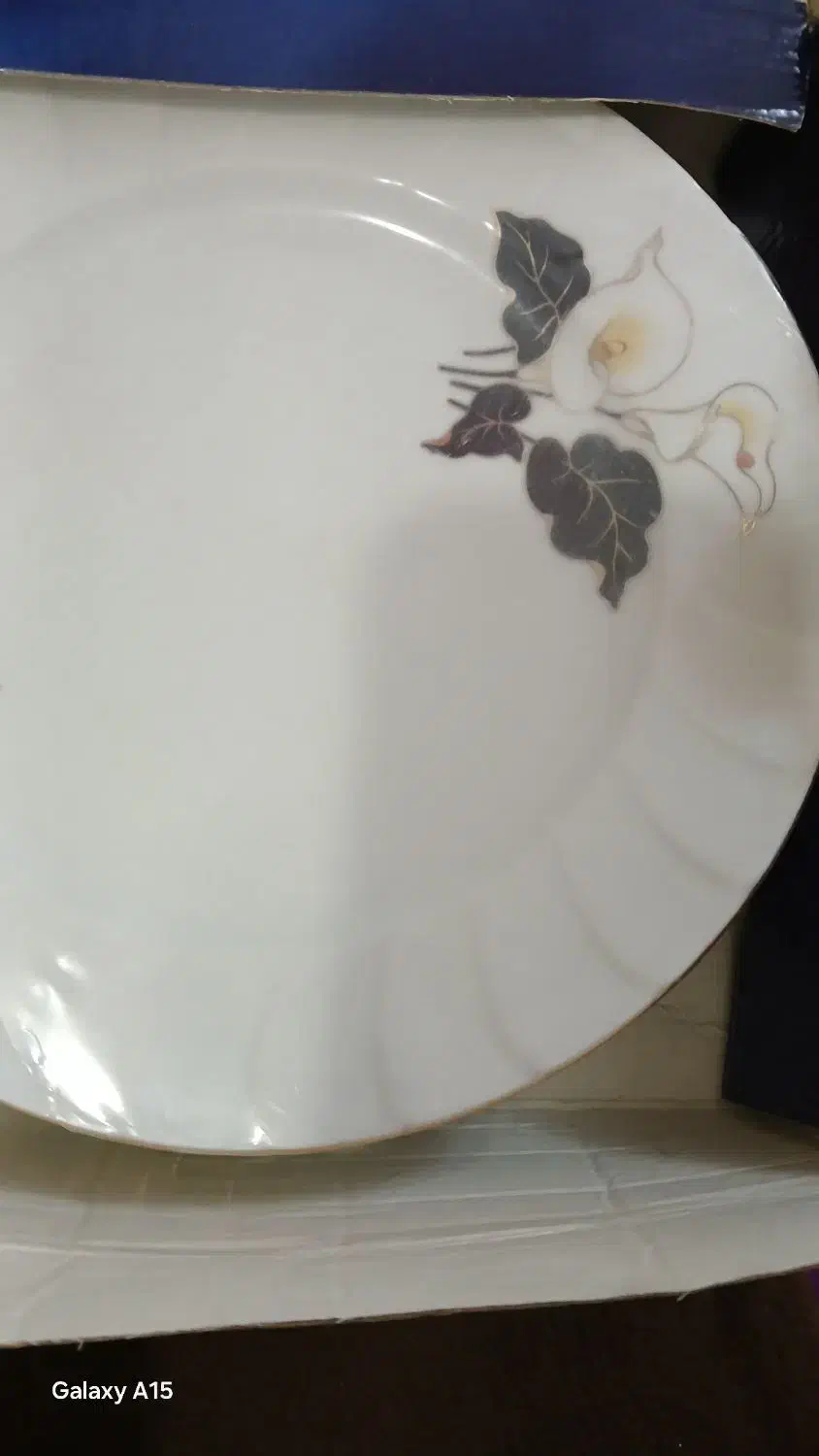 ظروف،چینی اصل زرین،وکیوم نونو|ظروف سرو و پذیرایی|تهران, وحیدیه|دیوار