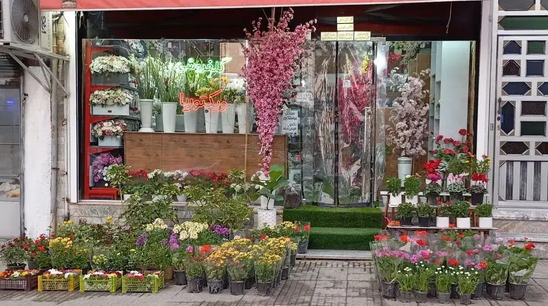 گلفروشی ویکتوریا|گل و گیاه طبیعی|کلاچای, |دیوار