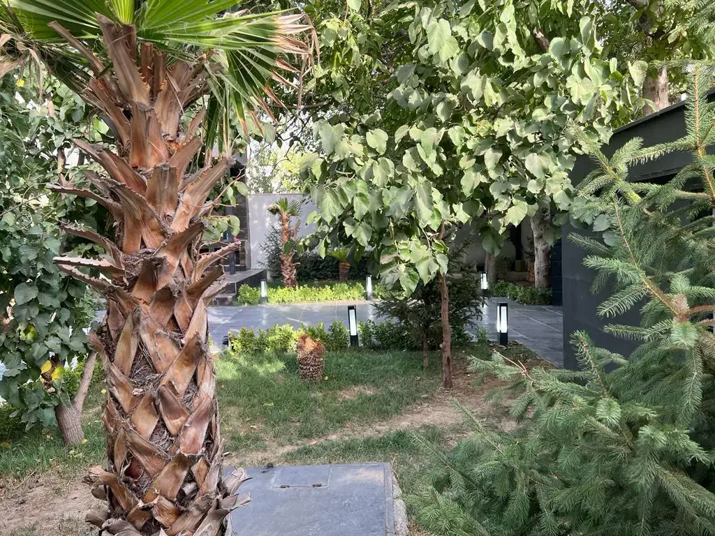 ۷۲۰متر ویلاباغ/قیمت زمین/آب برق گازکردان تهراندشت|فروش خانه و ویلا|کرج, چمن|دیوار