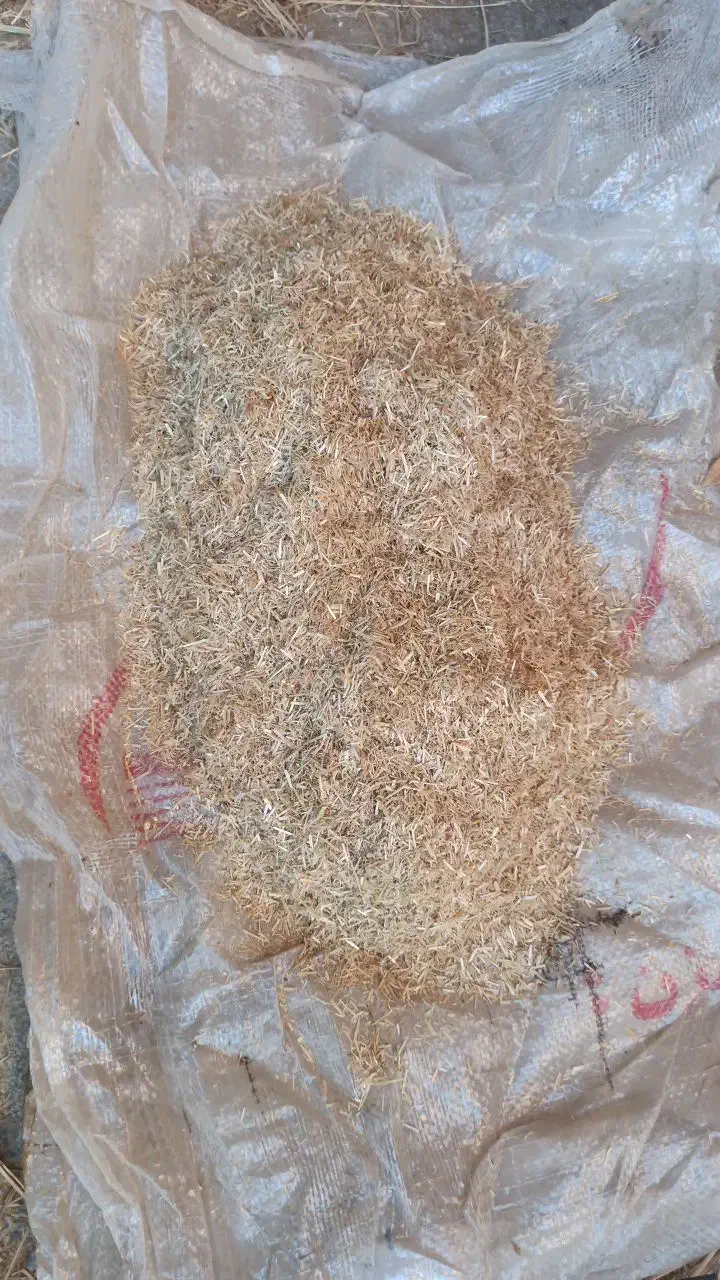 کاه خارشتر|لوازم جانبی حیوانات|گنبد کاووس, |دیوار