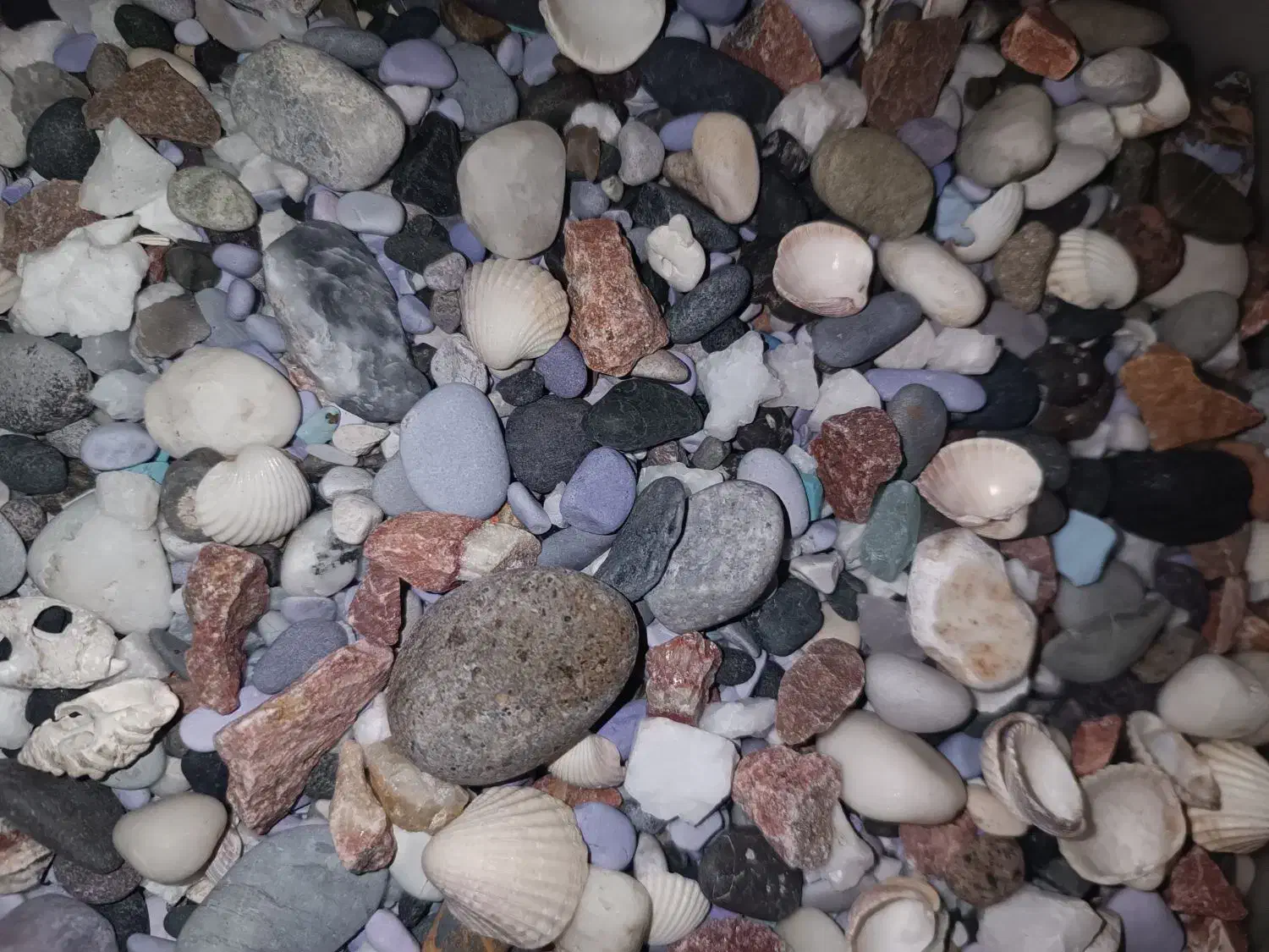 ماسه آکواریوم|ماهی|ری, فیروزآبادی|دیوار