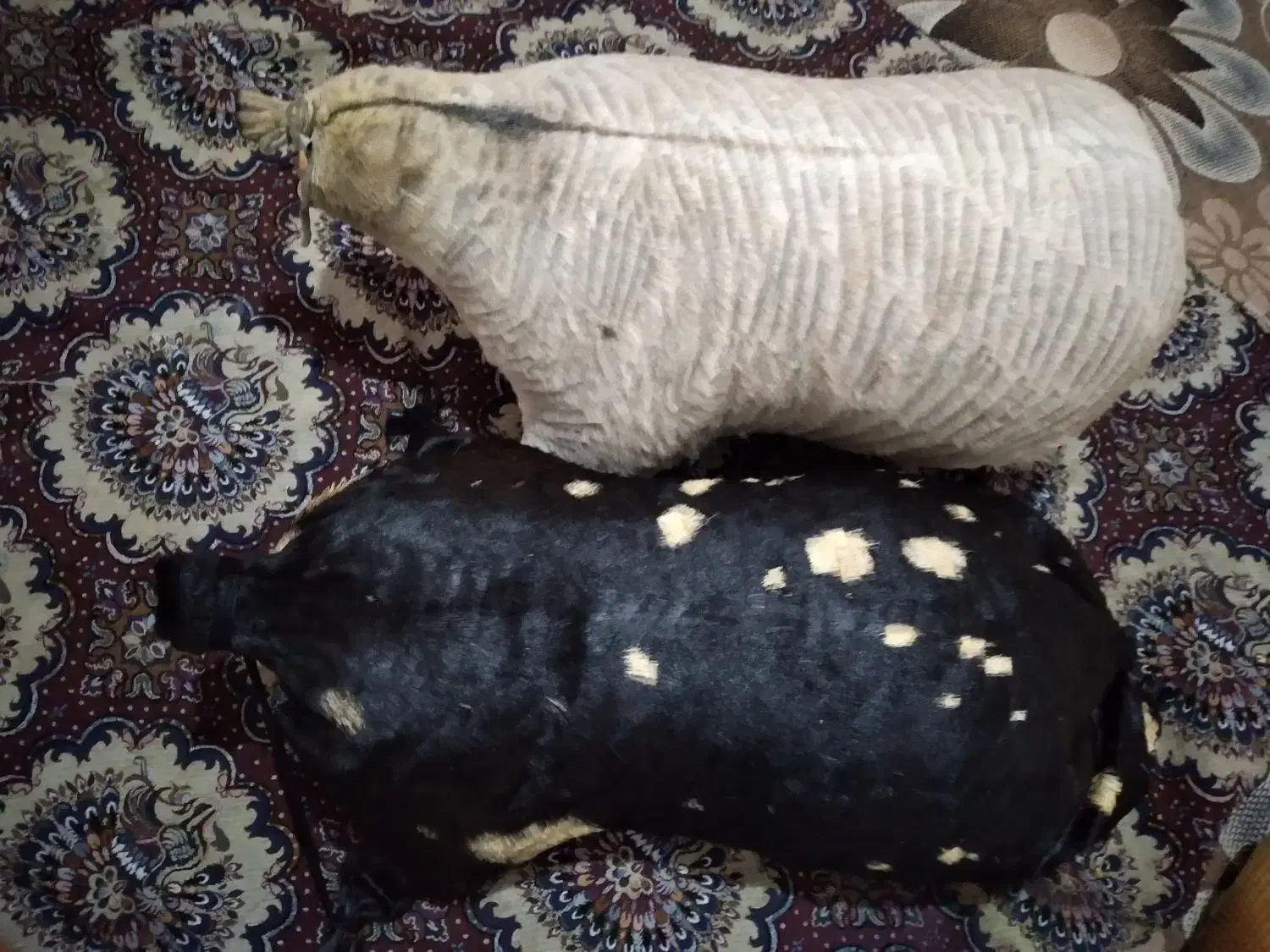 هیزه نو|ظروف پخت‌وپز|کوهدشت, |دیوار