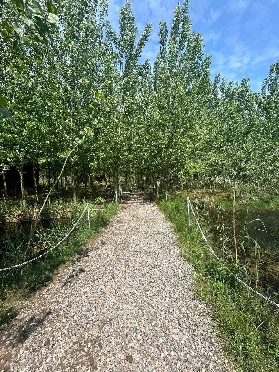 اولین بازدید خرید انجام میشه|فروش خانه و ویلا|تویسرکان, |دیوار