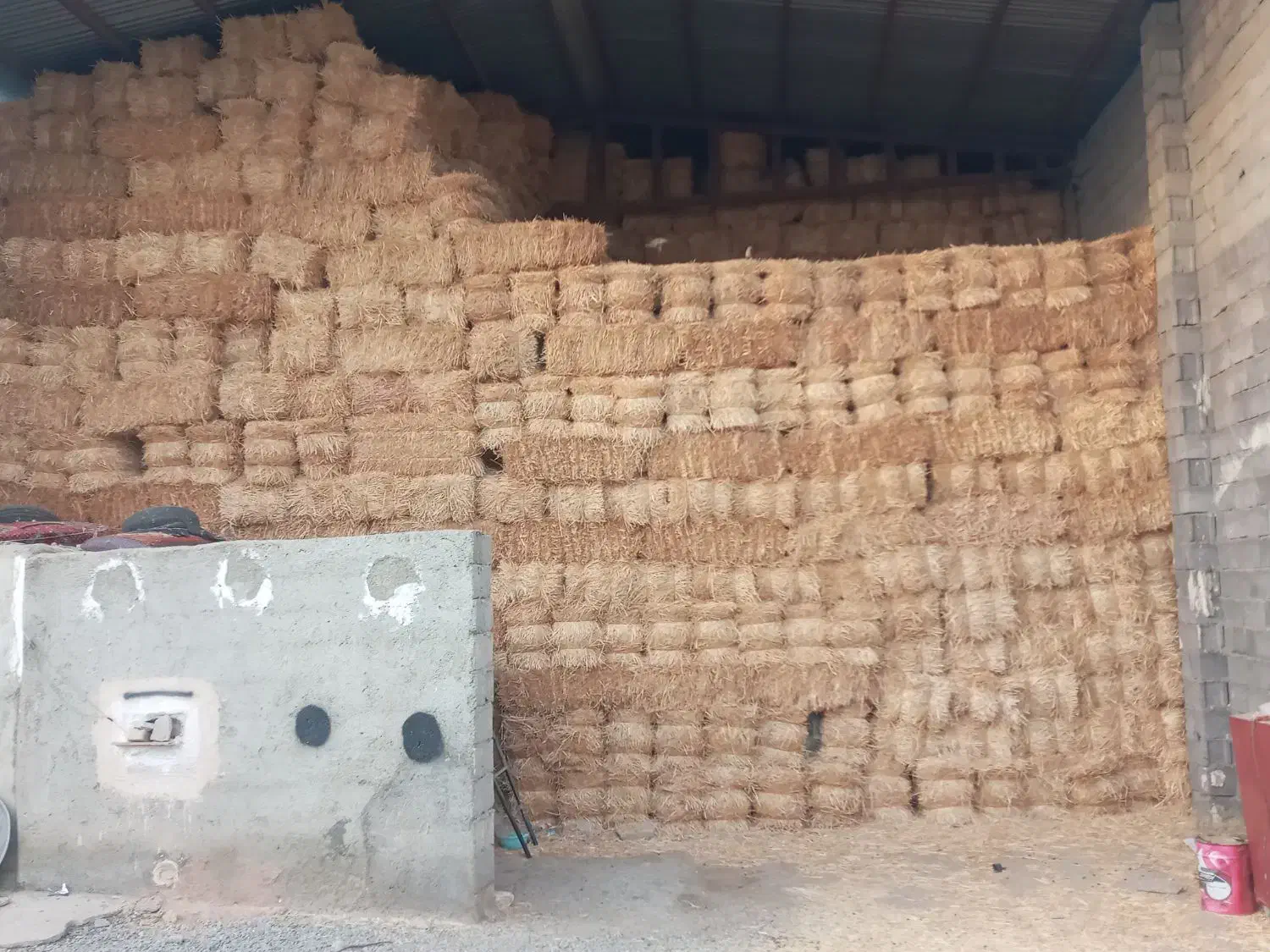 کلش گندم ابی|عمده‌فروشی|شراء, |دیوار