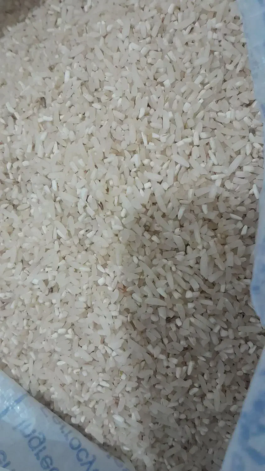 لاشه برنج فجر|خوردنی و آشامیدنی|اصفهان, دانشگاه اصفهان|دیوار