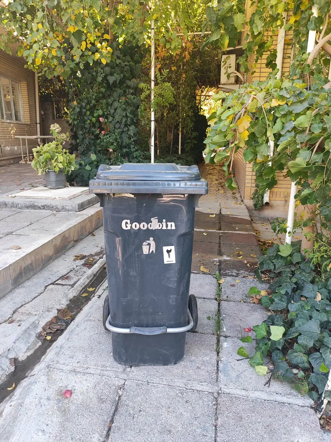 فروش سطل زباله|لوازم نظافت|ایوان, |دیوار