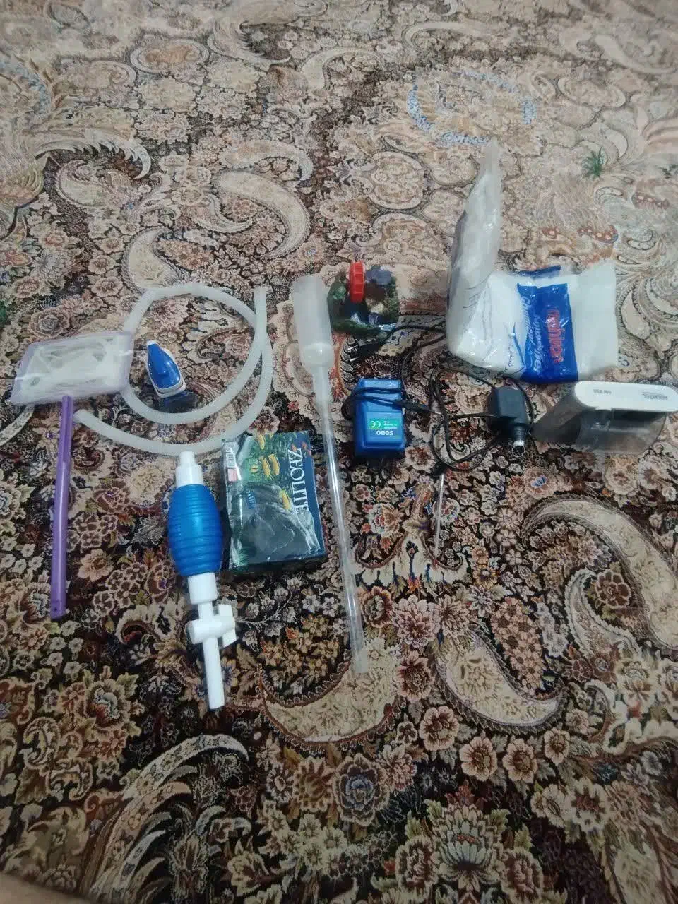 آکواریوم|ماهی|بم, |دیوار