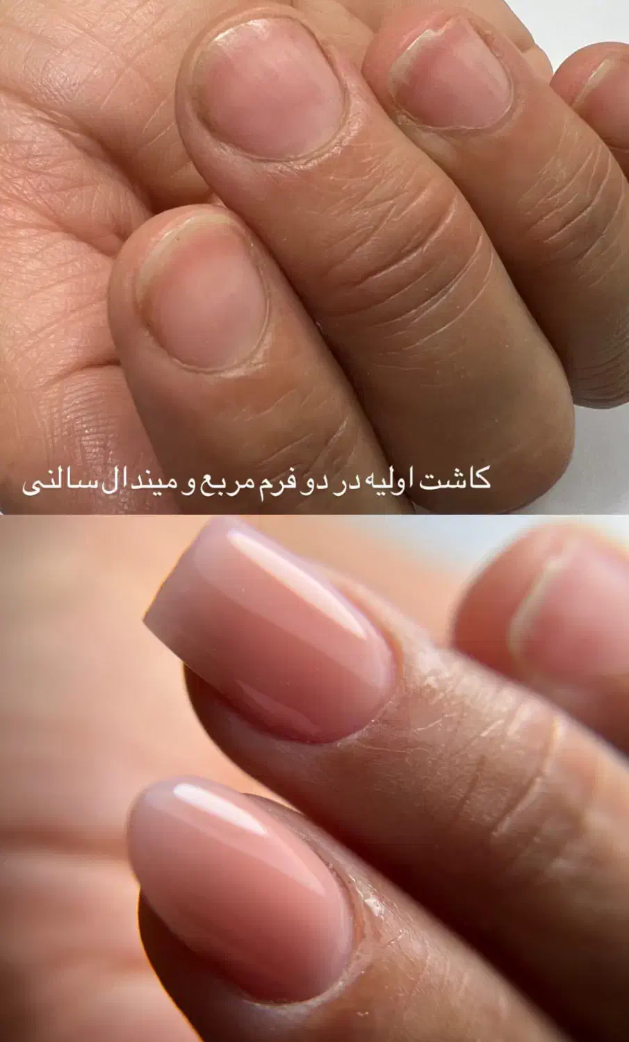 (آموزش تخصصی اصولی ناخن فقط ۳۵۰۰)|خدمات آموزشی|یاسوج, |دیوار