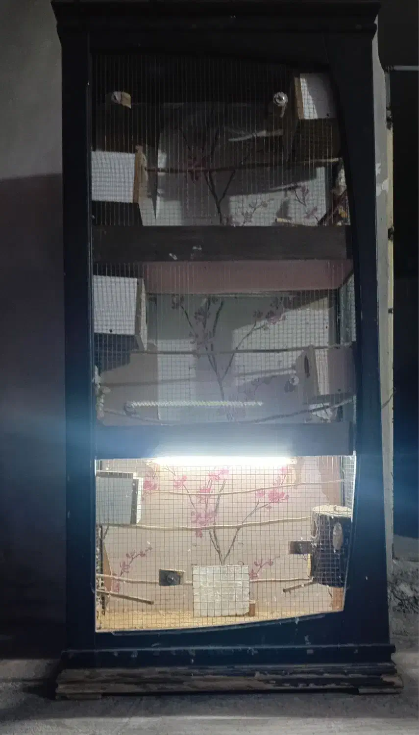 قفس ۳ طبقه بزرگ و شیک انواع پرنده|لوازم جانبی حیوانات|دوگنبدان, |دیوار