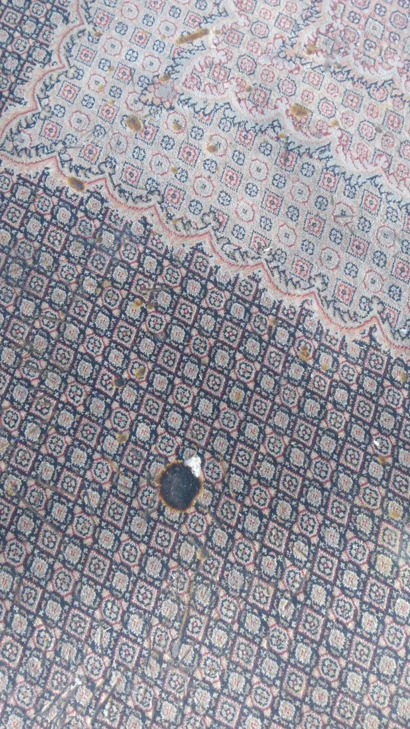 فرش|فرش|مشهد, امیرآباد|دیوار