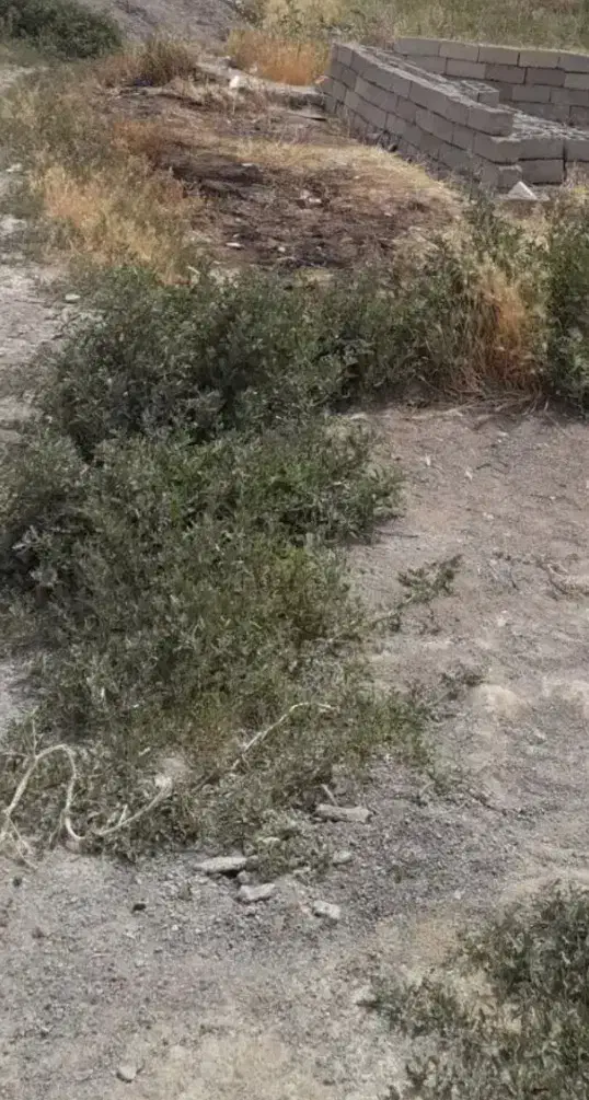 فروش زمین مسکونی ۳۳۰ متری روستای آقبلاغ مصطفی خان|فروش زمین و ملک کلنگی|ویلکیج, |دیوار