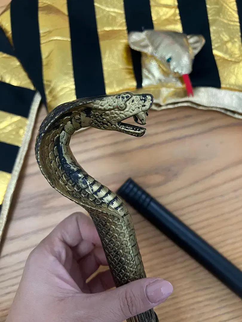 تم هالوین|اسباببازی|تهران, تهرانسر شرقی|دیوار