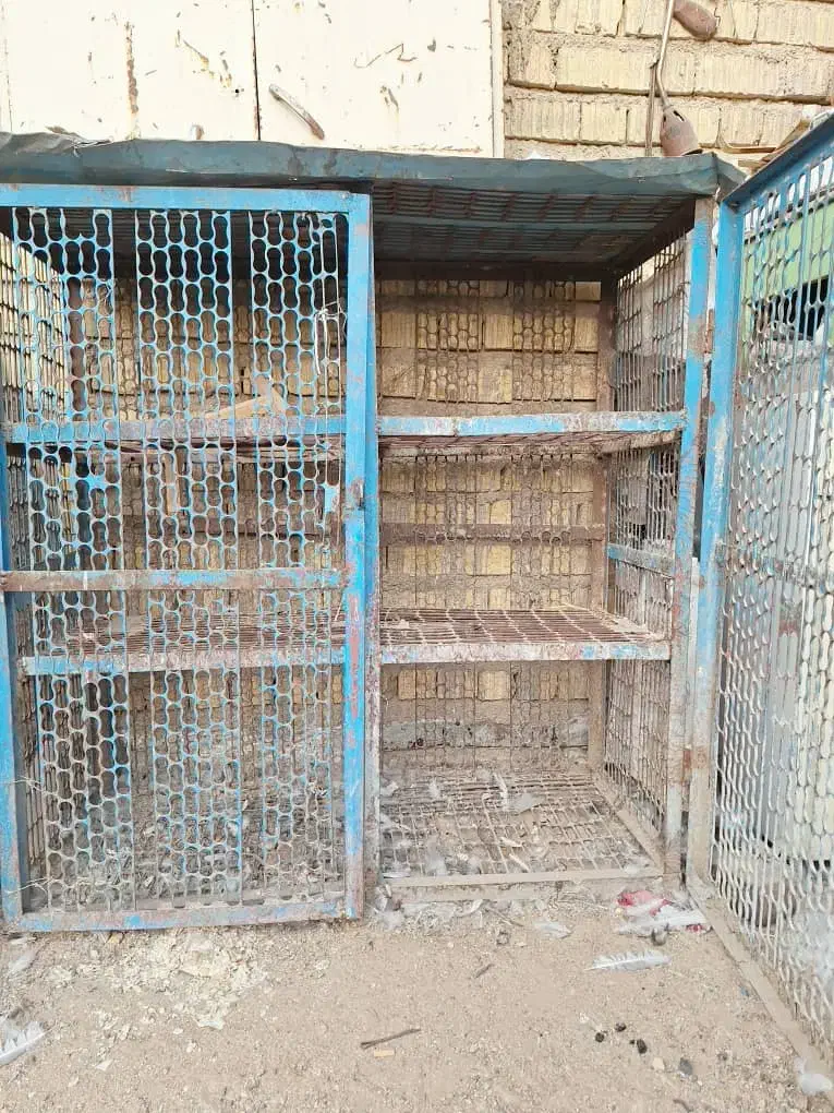 قفس مرغ خروس|لوازم جانبی حیوانات|شیراز, رکنآباد|دیوار