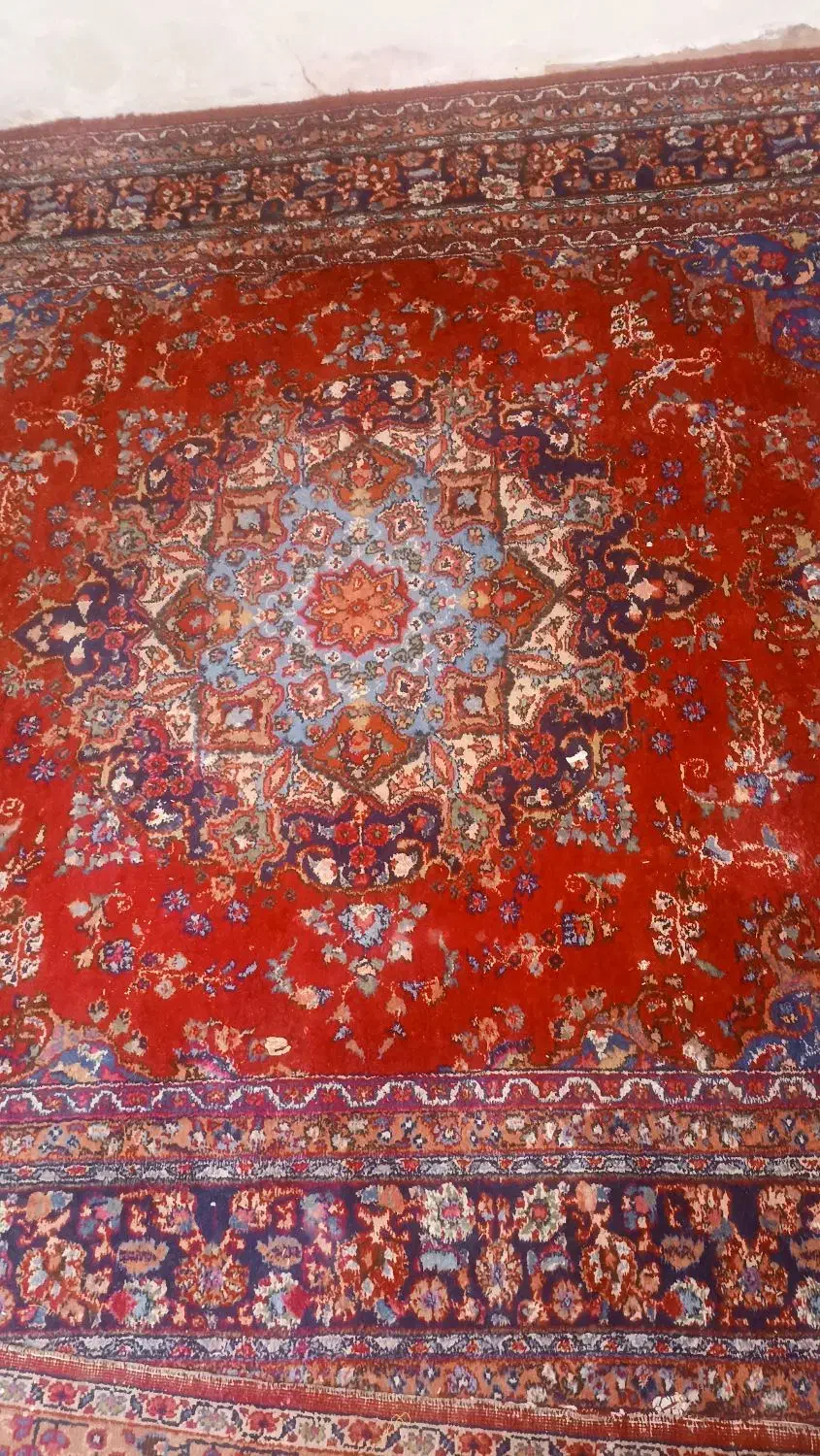 فرش دستی|فرش|سبزوار, گلشن|دیوار