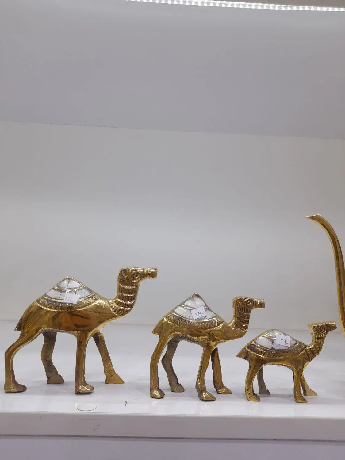 شتر برنز هندی صدفی تکی بزرگ|مجسمه، تندیس، ماکت|ارومیه, |دیوار