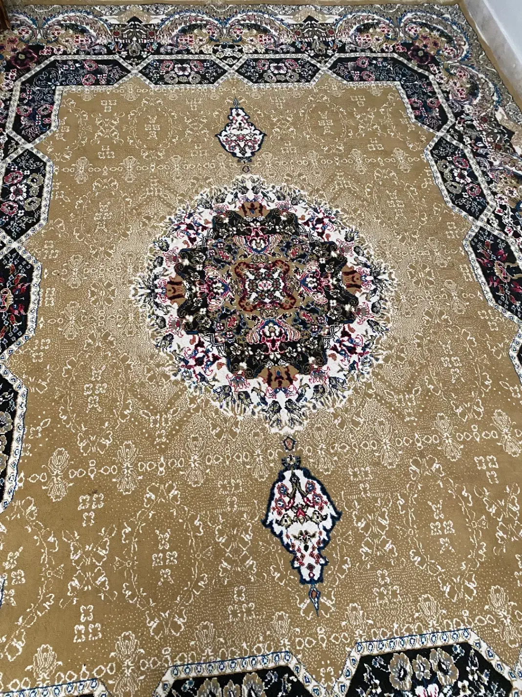 فرش ۶متری سالم|فرش|مشهد, جاهد شهر|دیوار