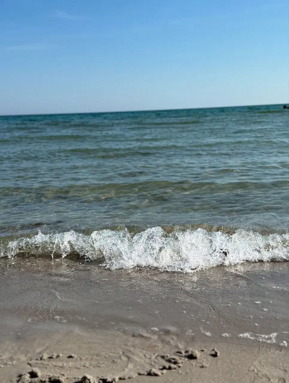 همکاری|گردهمایی و همایش|شاهین‌شهر, گزبرخوار|دیوار