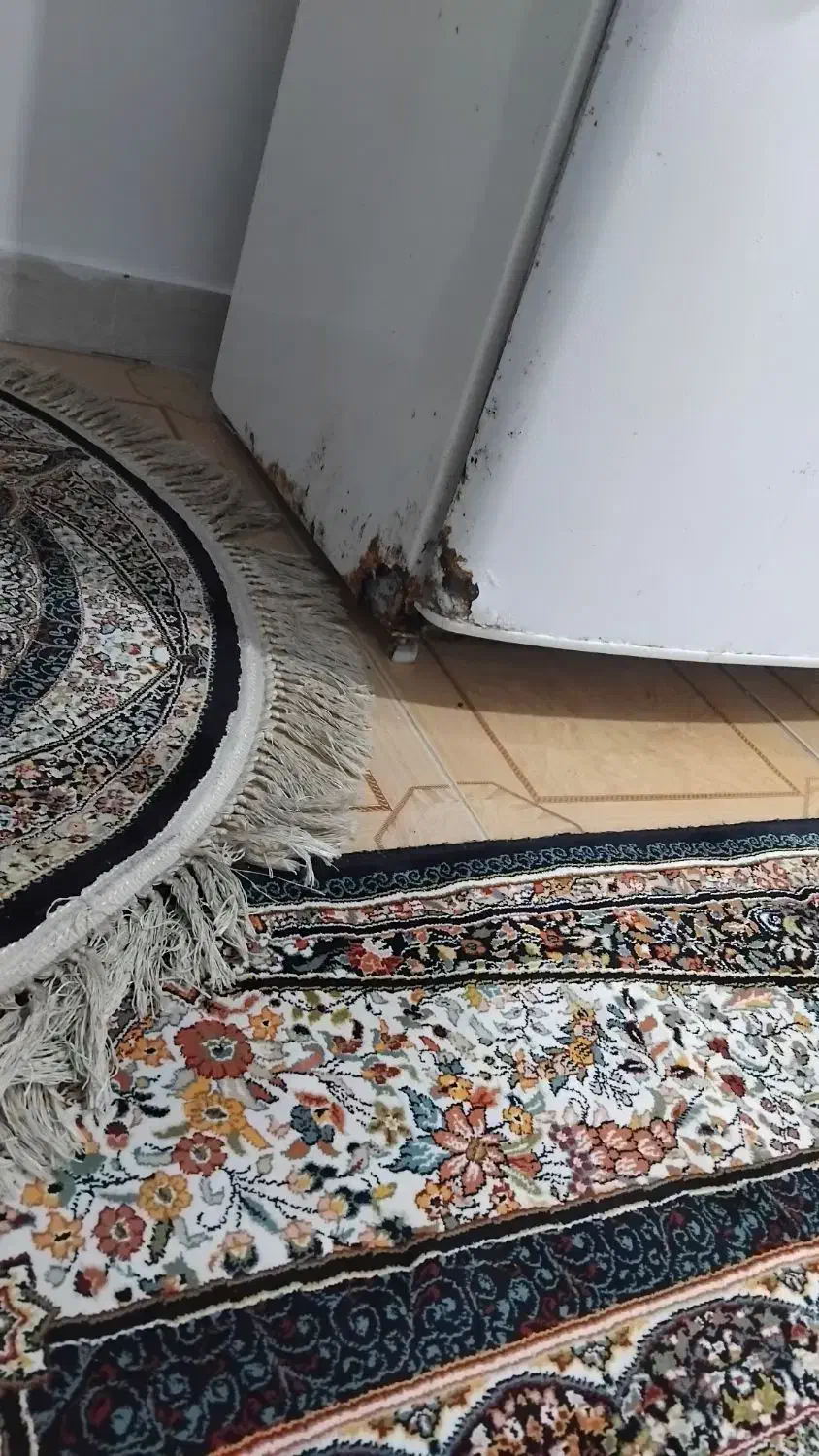 یخچال دونارخزر|یخچال و فریزر|رشت, پیرکلاچای|دیوار