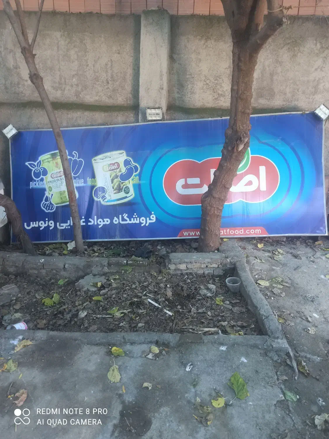 تابلو|تابلو، نقاشی، عکس|گرگان, |دیوار