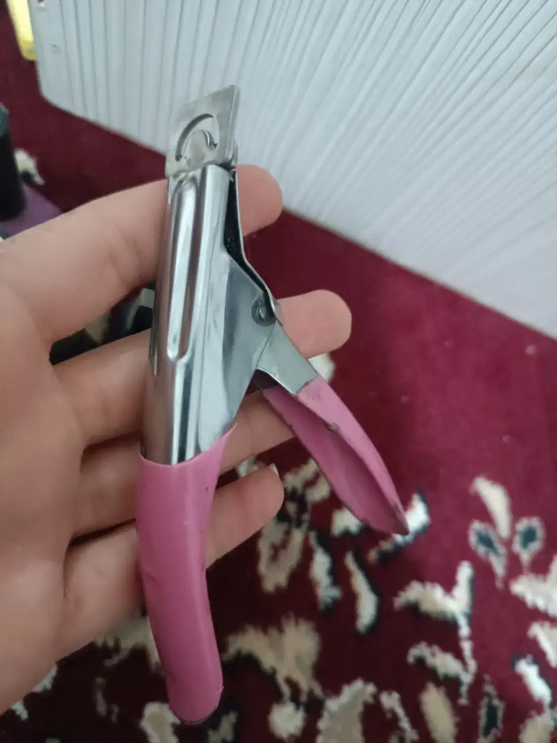 لاک ژل|حراج|نیشابور, بنیاد شهید|دیوار