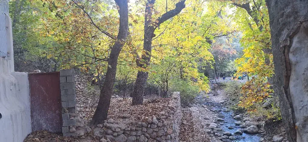 باغ رویه بال وسط شهر اردکان منطقه بکر|فروش دفتر صنعتی، کشاورزی، تجاری|سپیدان, |دیوار