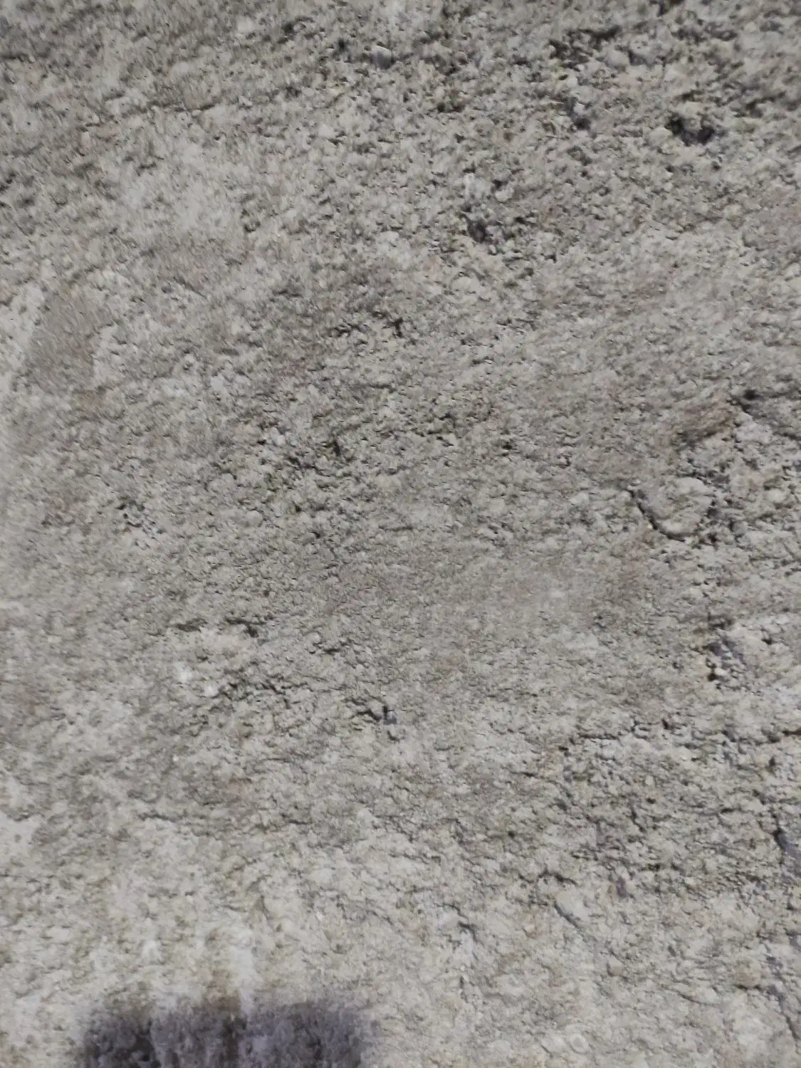 دیوارچینی پلاسترکارم|خدمات پیشه و مهارت|ایرانشهر, |دیوار