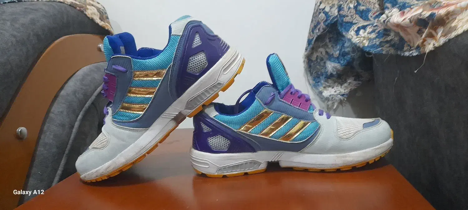 کفش|کیف، کفش، کمربند|مشگین شهر, |دیوار