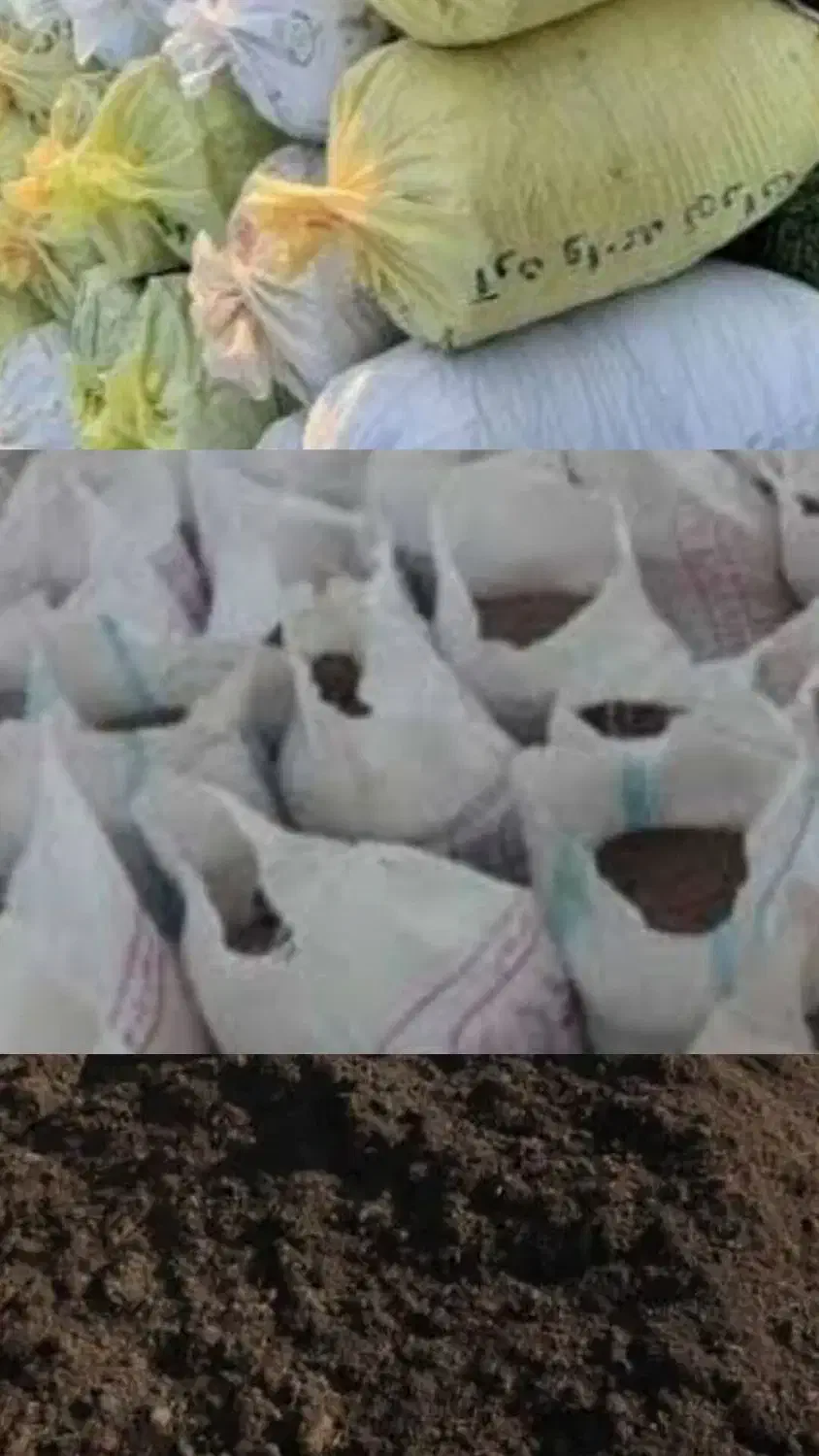 فروش  کود گوسفندی و گاوی  پوسیده|خدمات باغبانی و درختکاری|کومله, |دیوار