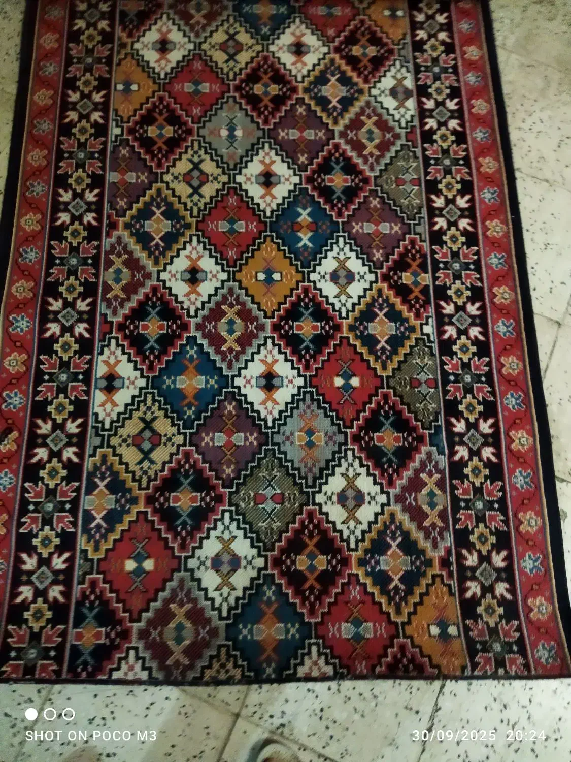 فروش کلیم وکلیم فرش و پادری|گلیم، جاجیم، گبه|قزوین, |دیوار