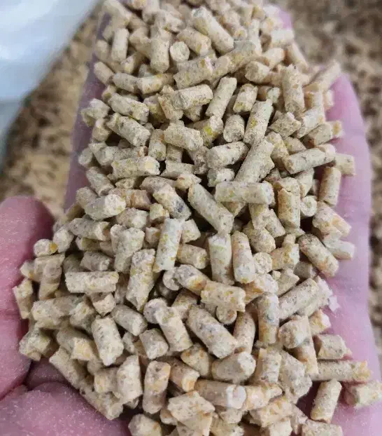 دان مرغ و نهاده دامی درجه یک و با کیفیت|عمدهفروشی|کوهدشت, |دیوار