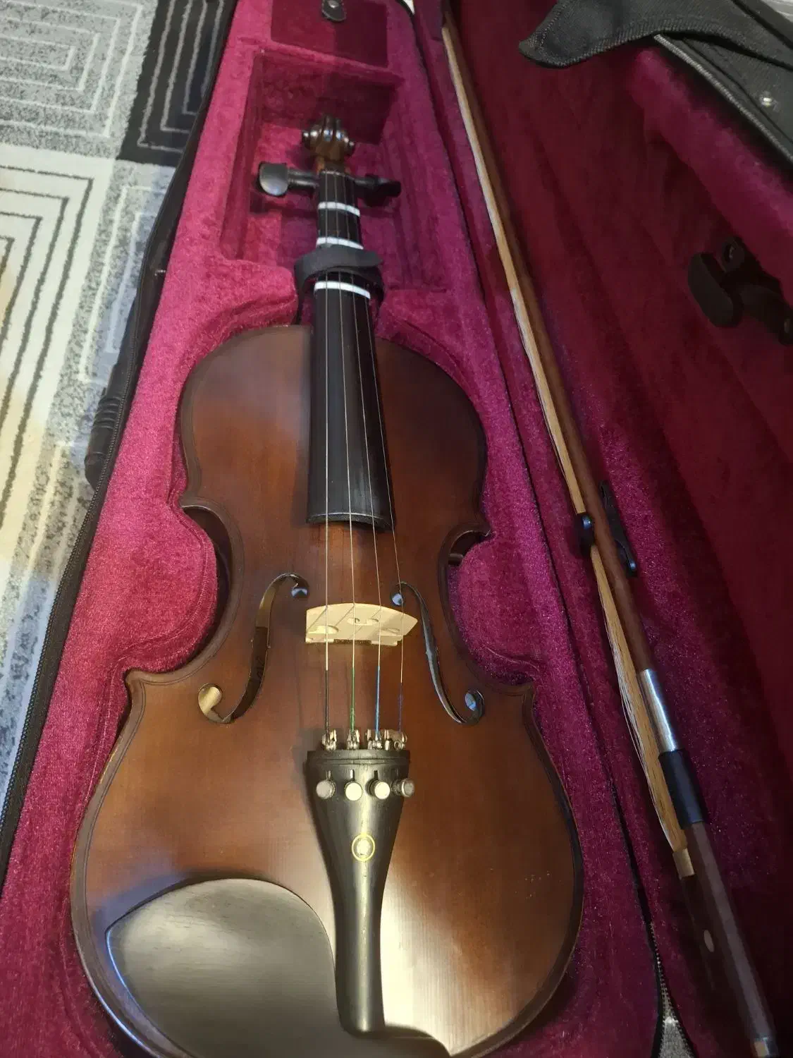 ویولن هافنر چینی|ویولن|کرمان, |دیوار