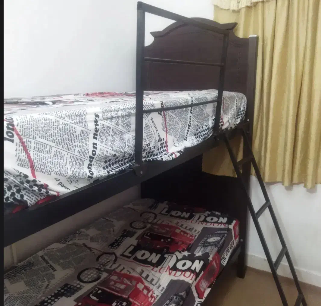 تخت دو طبقه چوبی|تخت و سرویس خواب|گرگان, |دیوار