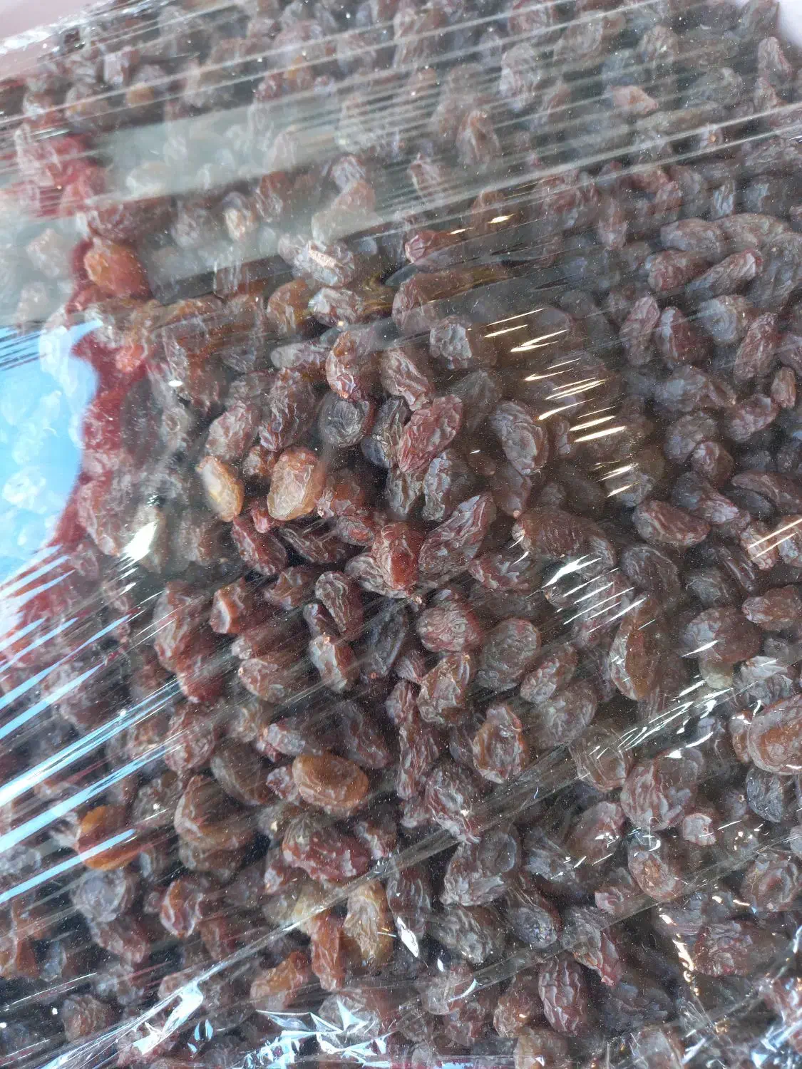 عسل گردو ملایر|خوردنی و آشامیدنی|رشت, نظری|دیوار