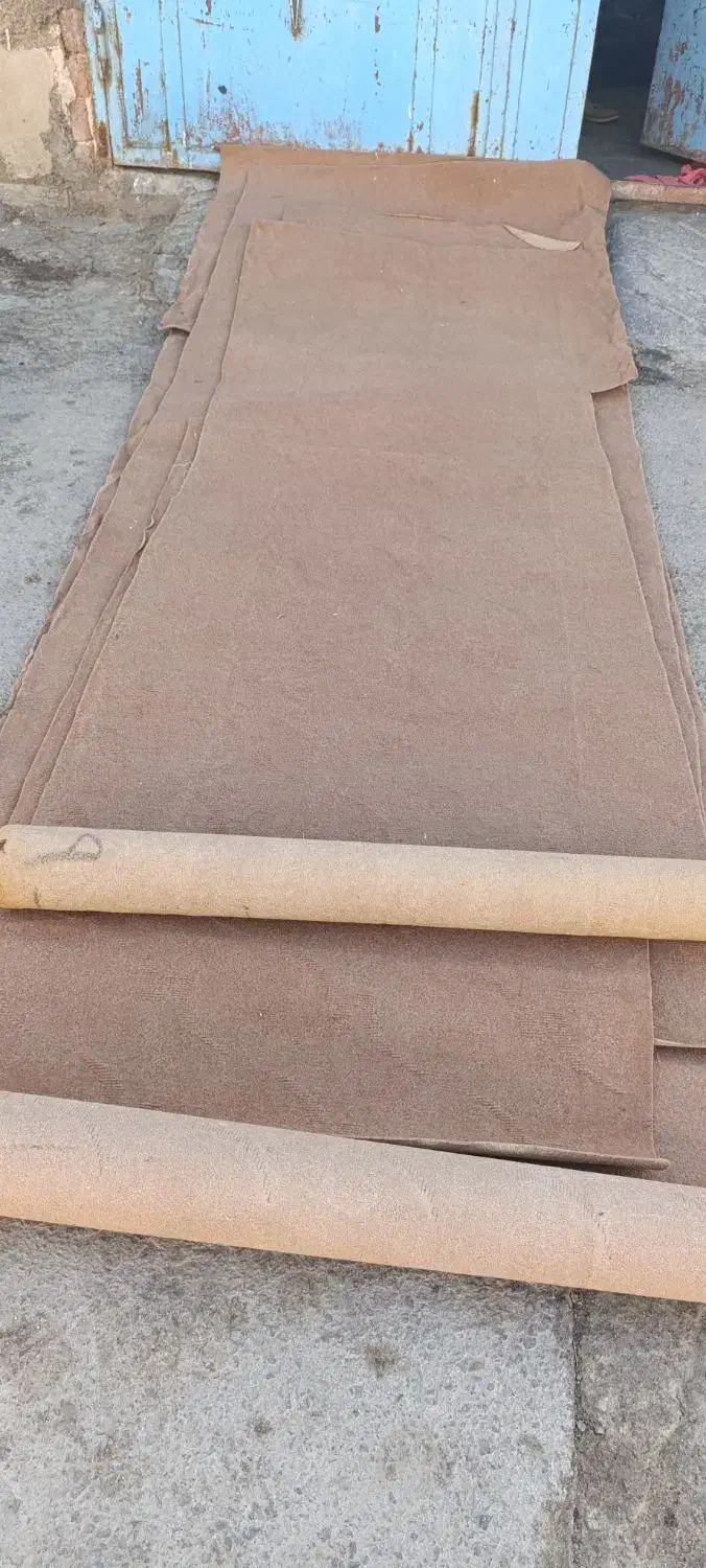 موکت|موکت|زاهدان, |دیوار