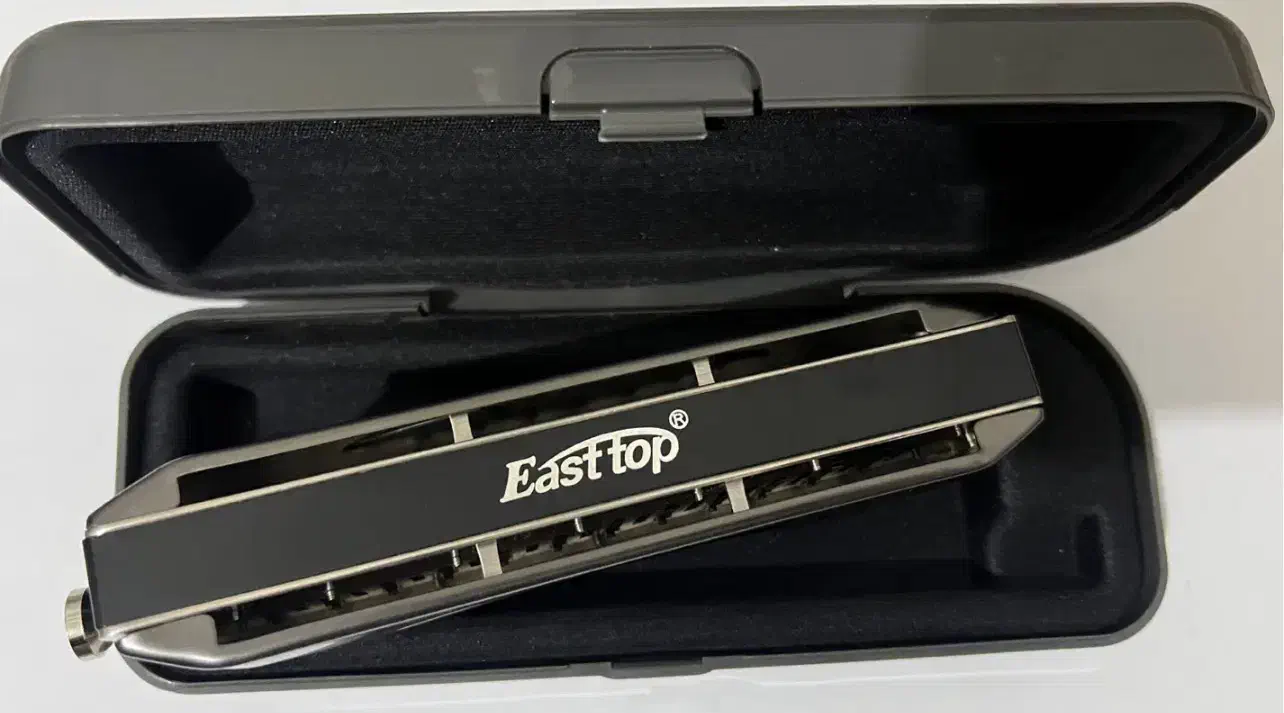 ساز دهنی  ۱۲ سوراخه کروماتیک|سازهای بادی|همدان, |دیوار