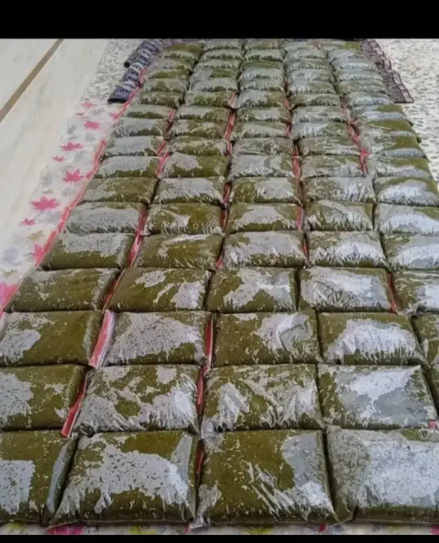 سبزی خورشتی و ماهی خوزستان رامهرمز|خوردنی و آشامیدنی|شاهینشهر, طالقانی|دیوار