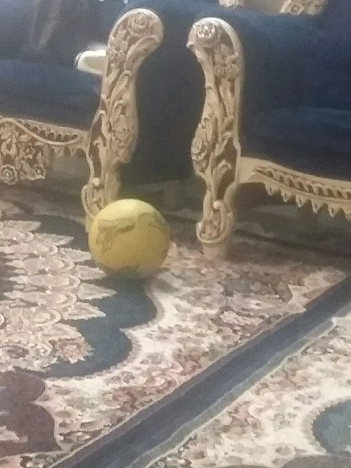 توپ|ورزش‌های توپی|پاکدشت, خاتون آباد|دیوار