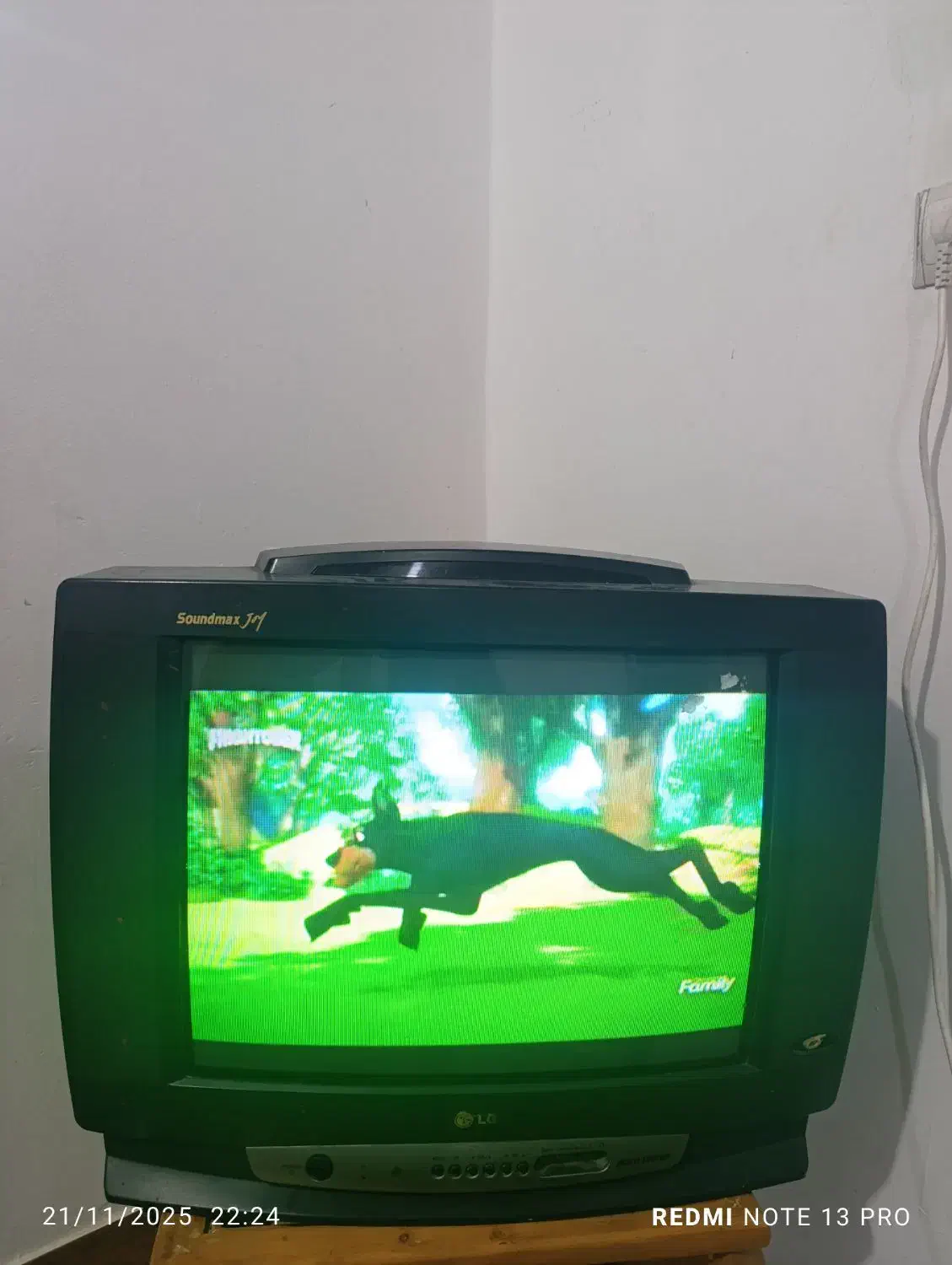 تلویزیون|تلویزیون و پروژکتور|گرگان, |دیوار