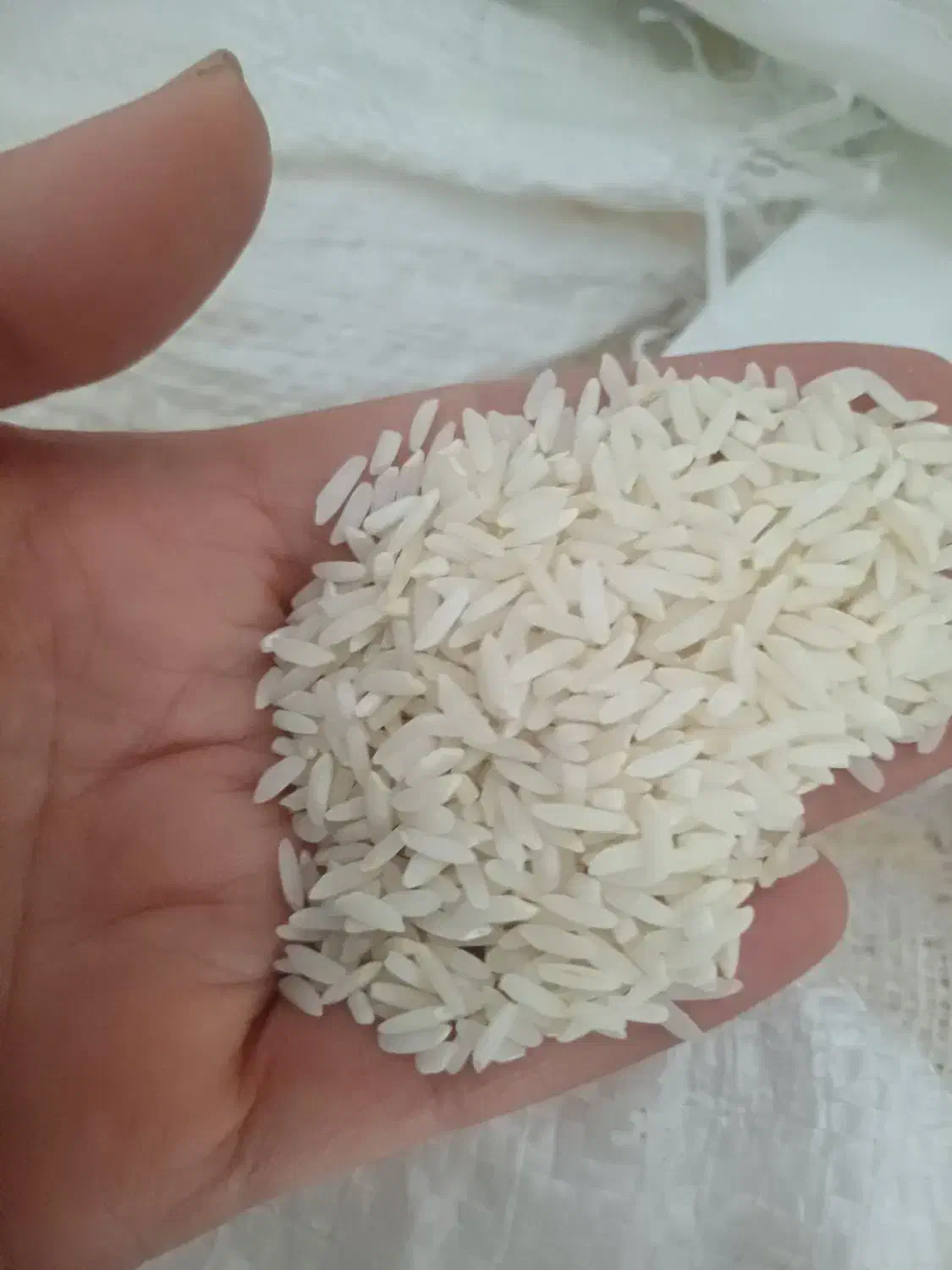 برنج علی کاظمی وشمال|خوردنی و آشامیدنی|بروجرد, |دیوار