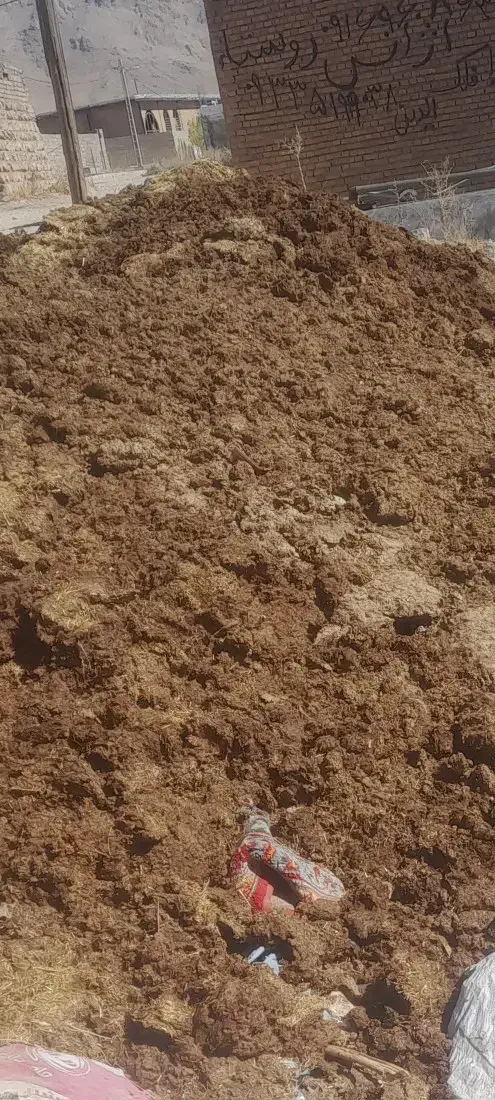 کود حیوانی|لوازم جانبی حیوانات|خاوه, |دیوار