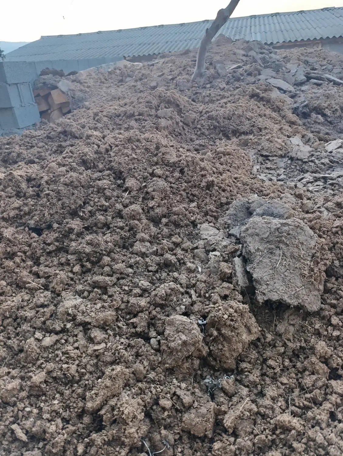 کود گاوی و گوسفندی خشک|خدمات باغبانی و درختکاری|منجیل, |دیوار