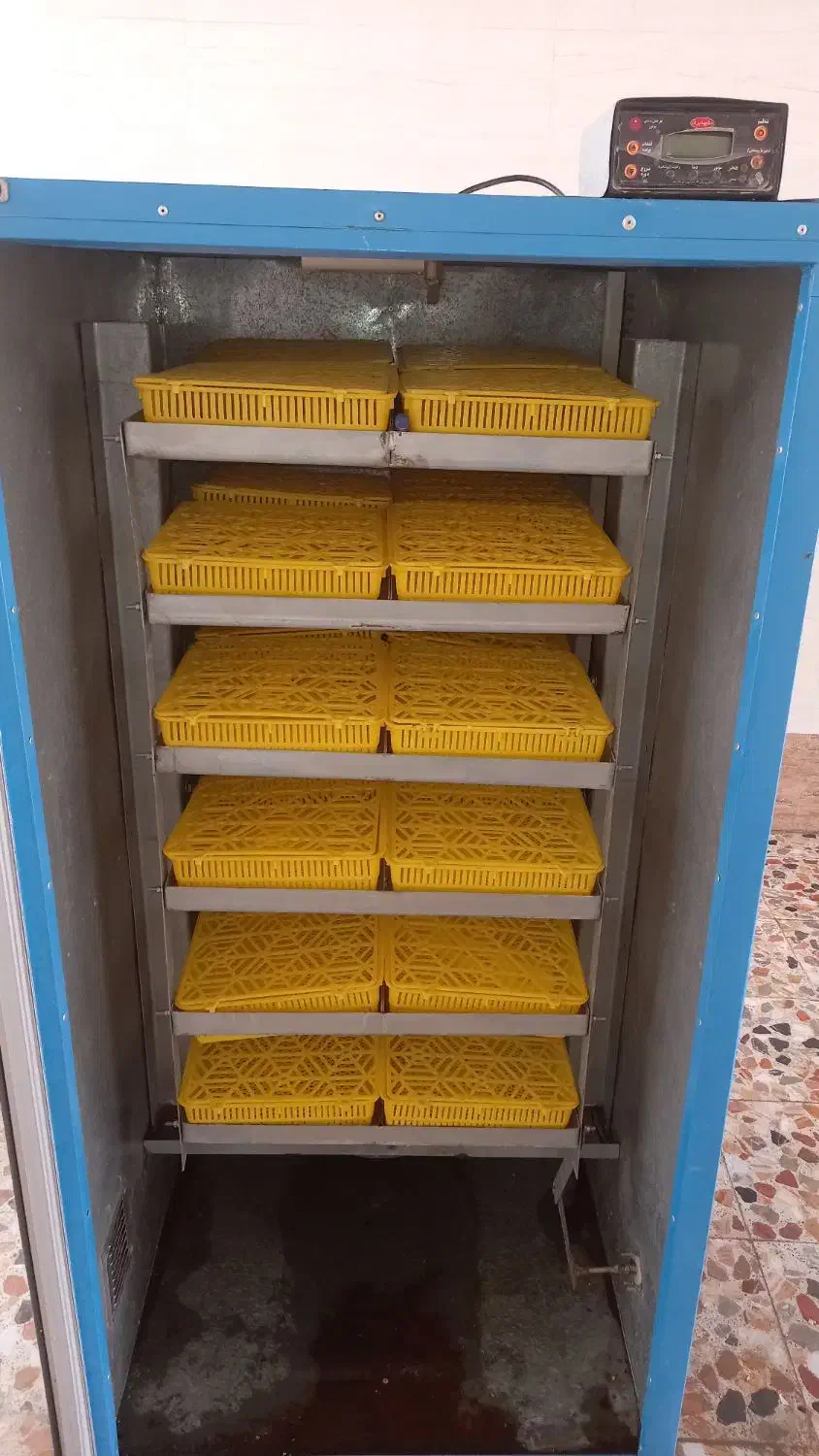 دستگاه جوجه کشی تمام اتوماتیک|لوازم جانبی حیوانات|اهواز, شهرک شهید عباس پور|دیوار