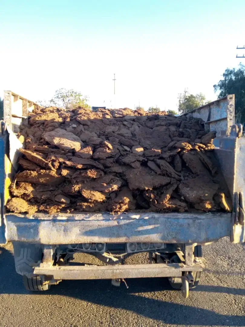 کود|خدمات باغبانی و درختکاری|بم, |دیوار