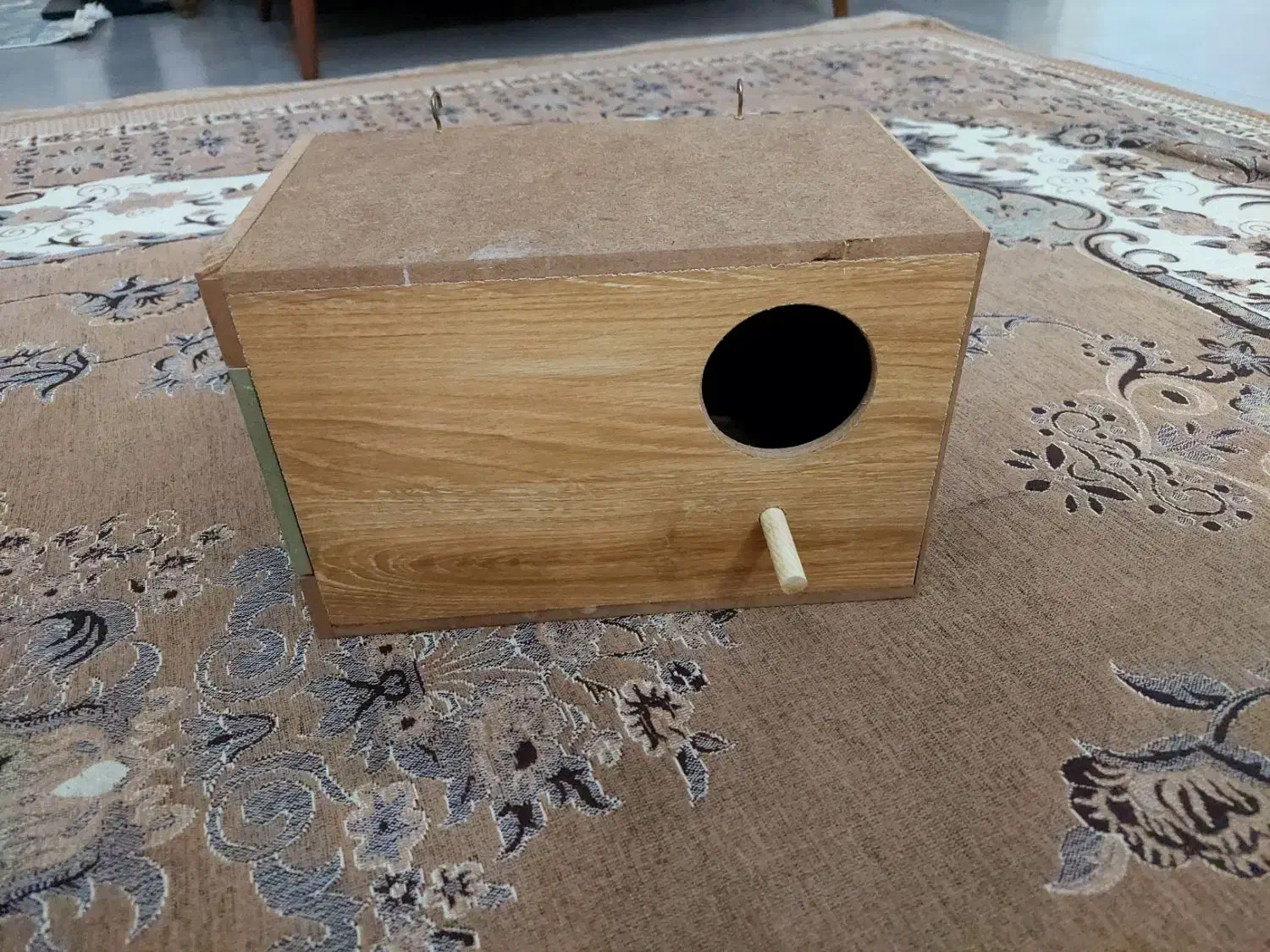 لونه طوطی(راهب برزیلی گرینچیک )|لوازم جانبی حیوانات|تهران, کرمان|دیوار