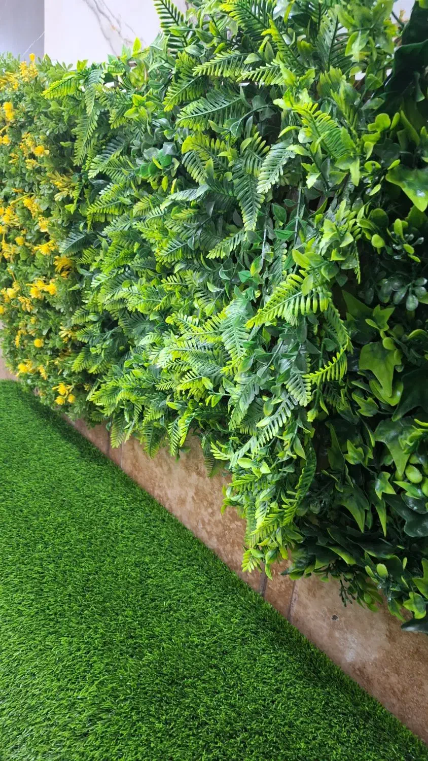 چمن مصنوعی و گرین وال|مصالح و تجهیزات ساختمان|گرگان, |دیوار