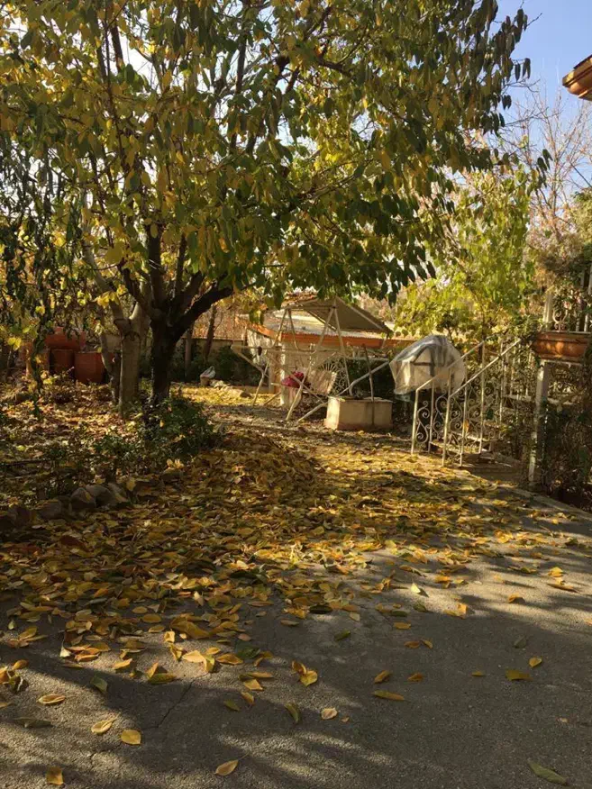 ویلا ۱۲۸۰ متر ۱۰۰ متر بنا کردان کوهسار|فروش خانه و ویلا|کوهسار (البرز), |دیوار