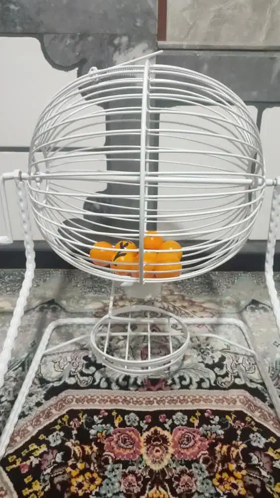 گردونه برای قرعهکشی بدون هر گونه استفاده|فروشگاه و مغازه|کازرون, |دیوار