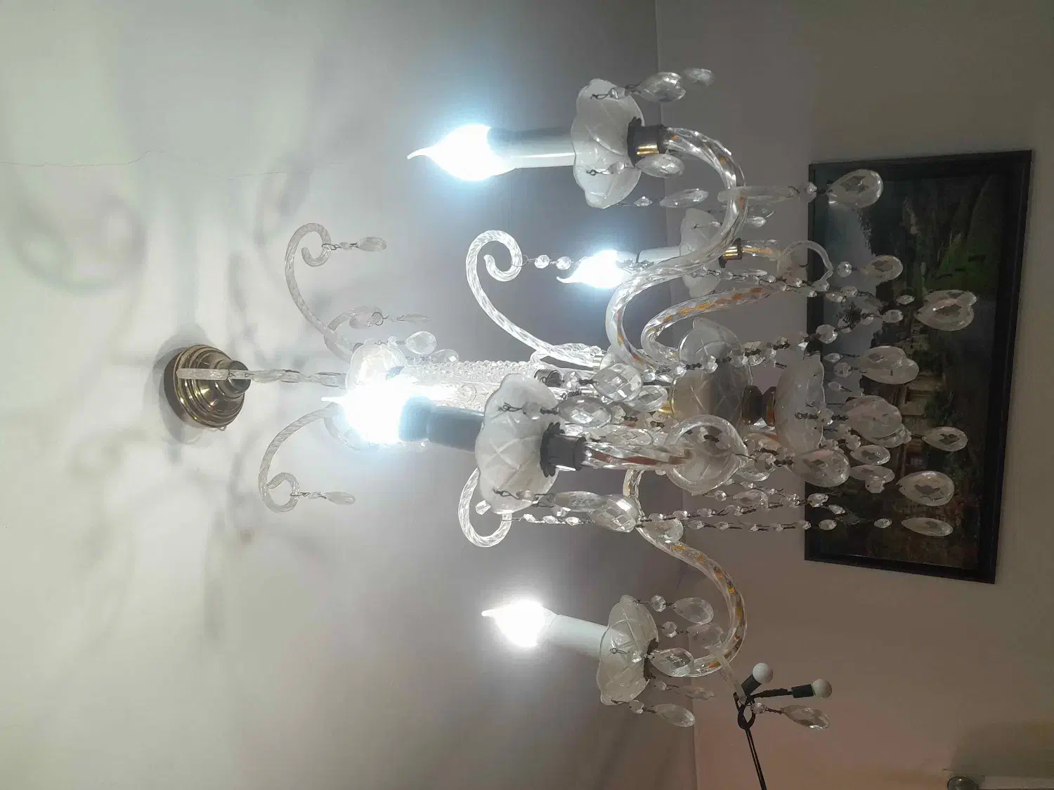 لوستر ۵ شاخه|لوستر و چراغ آویز|نسیم‌شهر, |دیوار