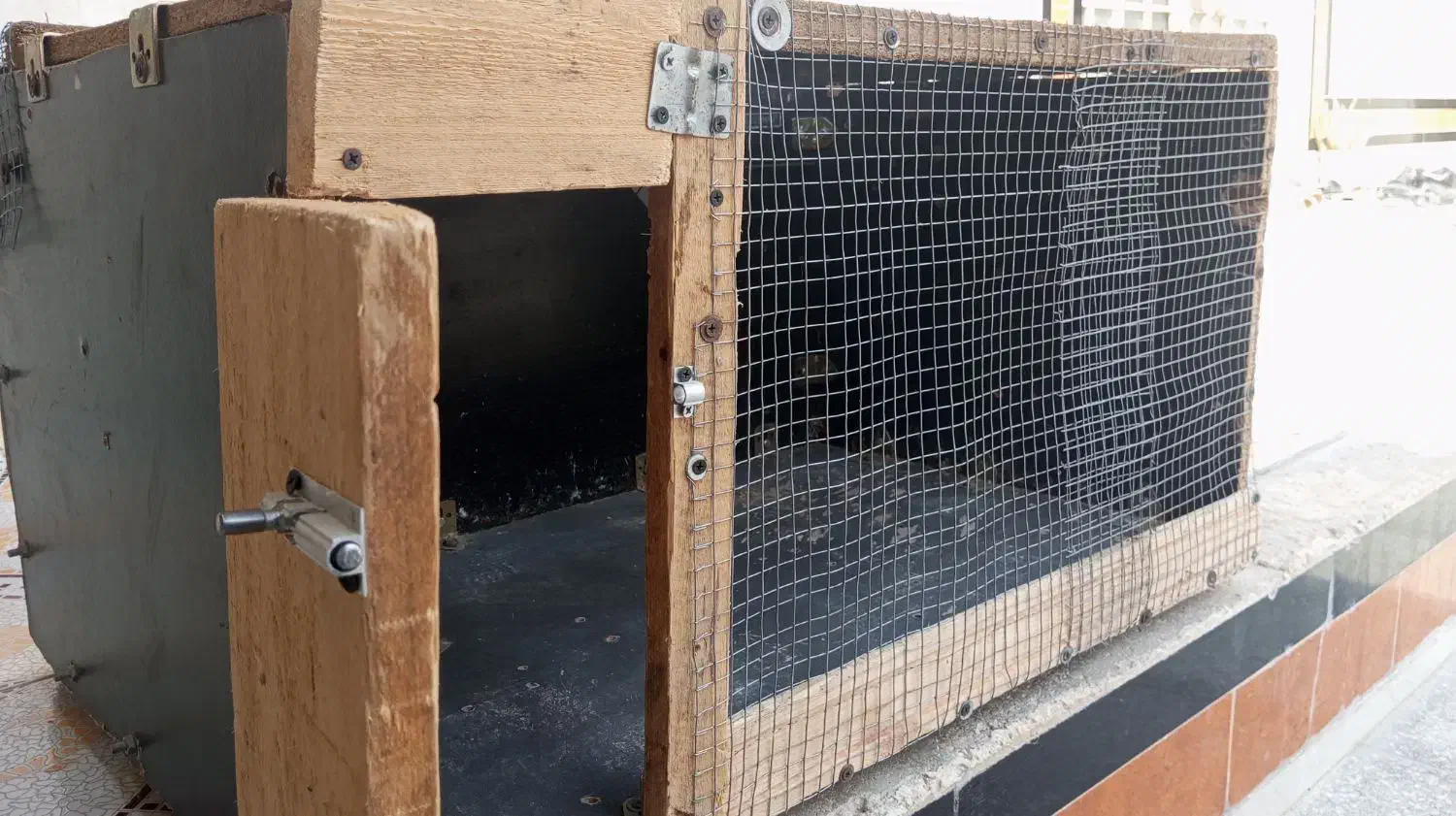 قفس|لوازم جانبی حیوانات|قشم, |دیوار